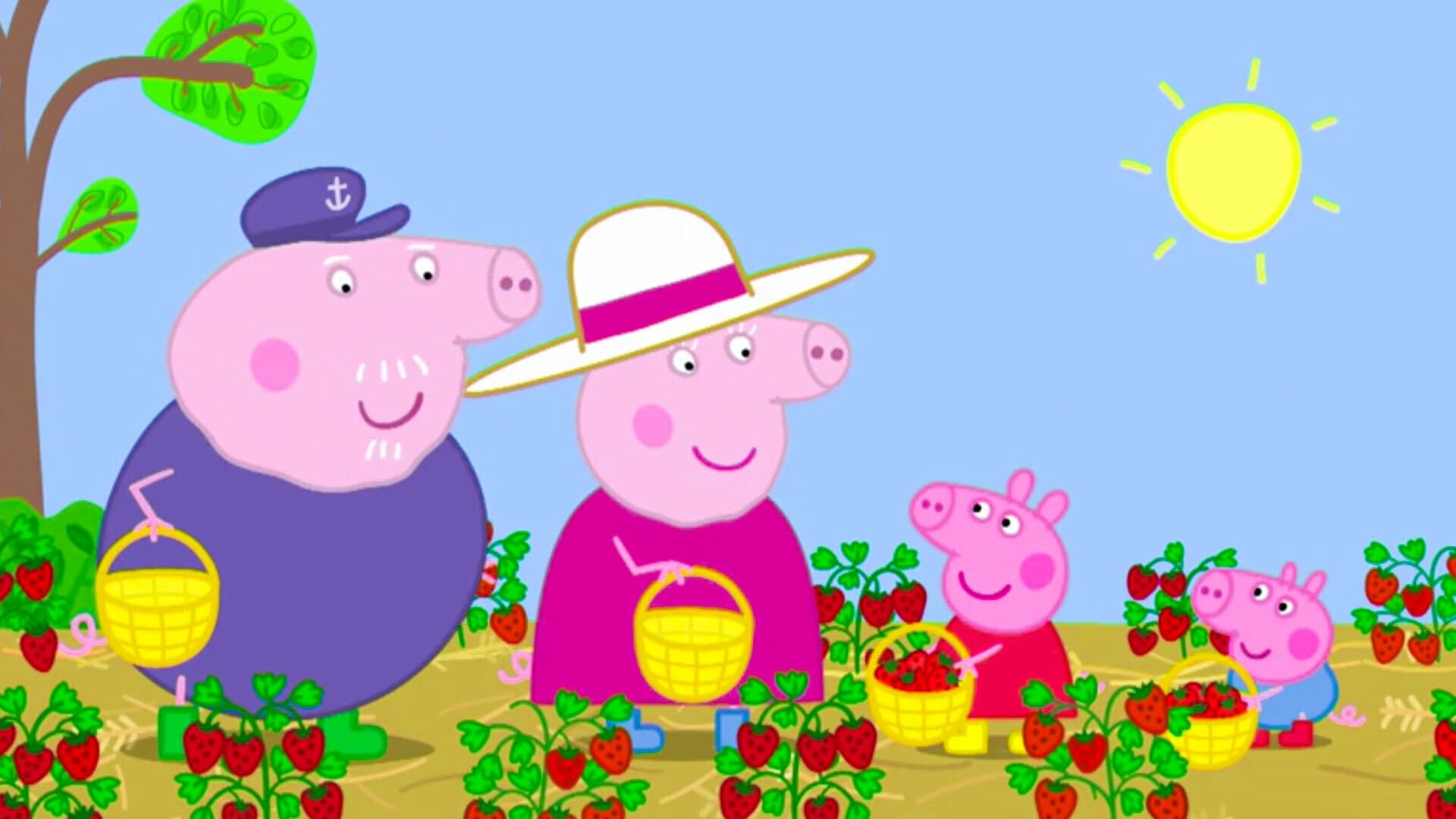 Peppa Pig Season 6 :Episode 16  Strawberries