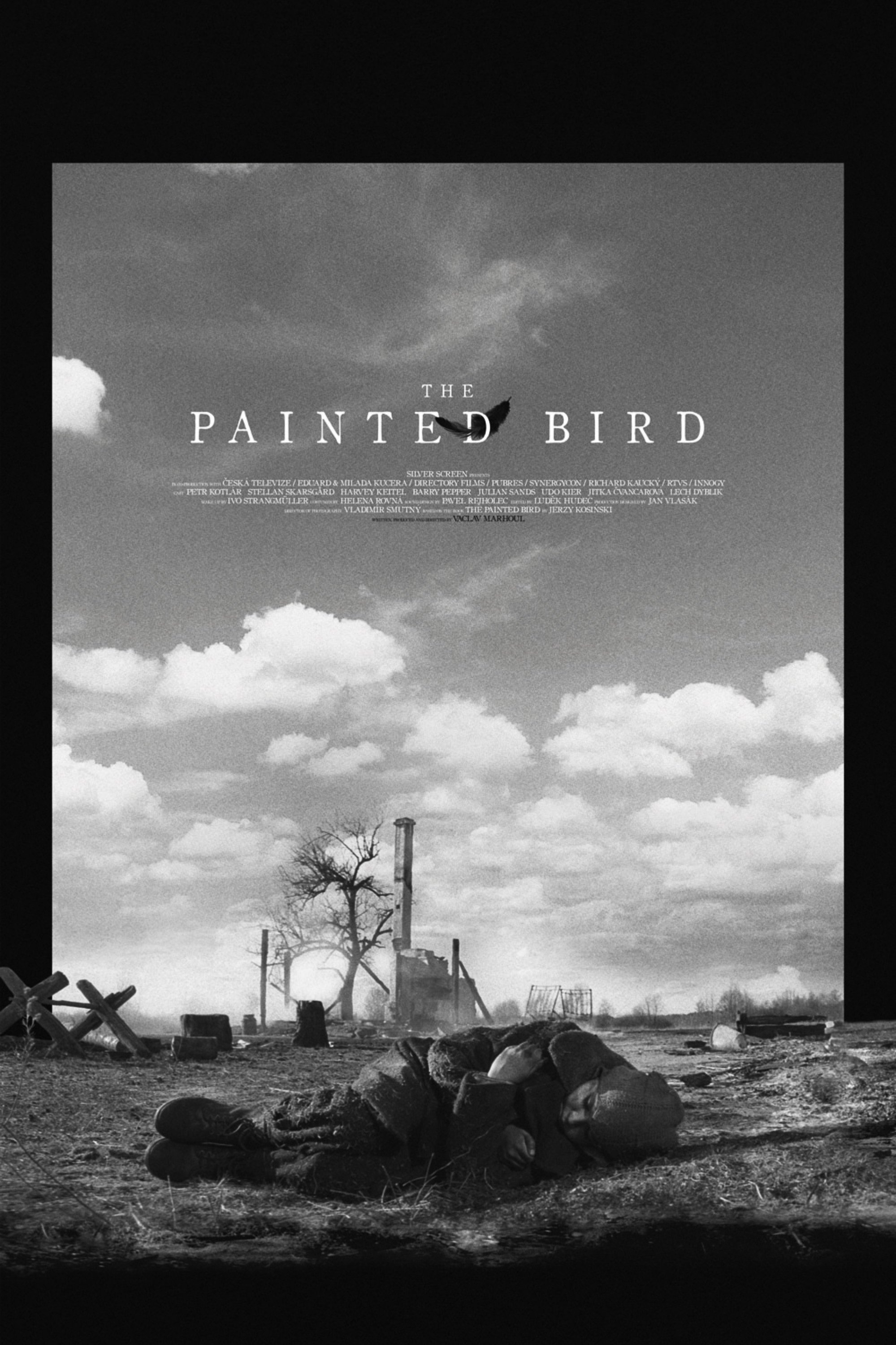 The Painted Bird