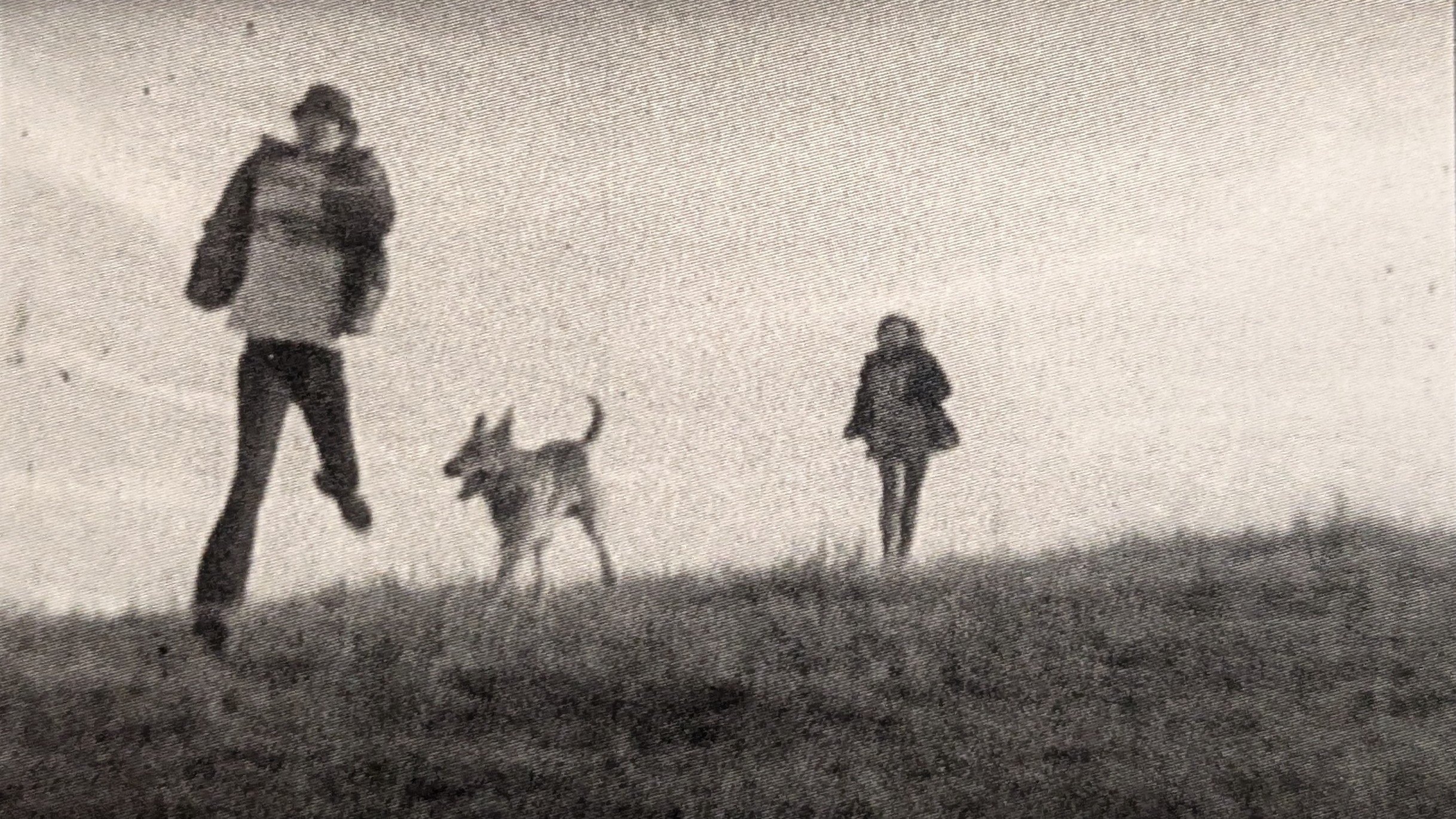 Imagem do Filme The Secret of Sleep