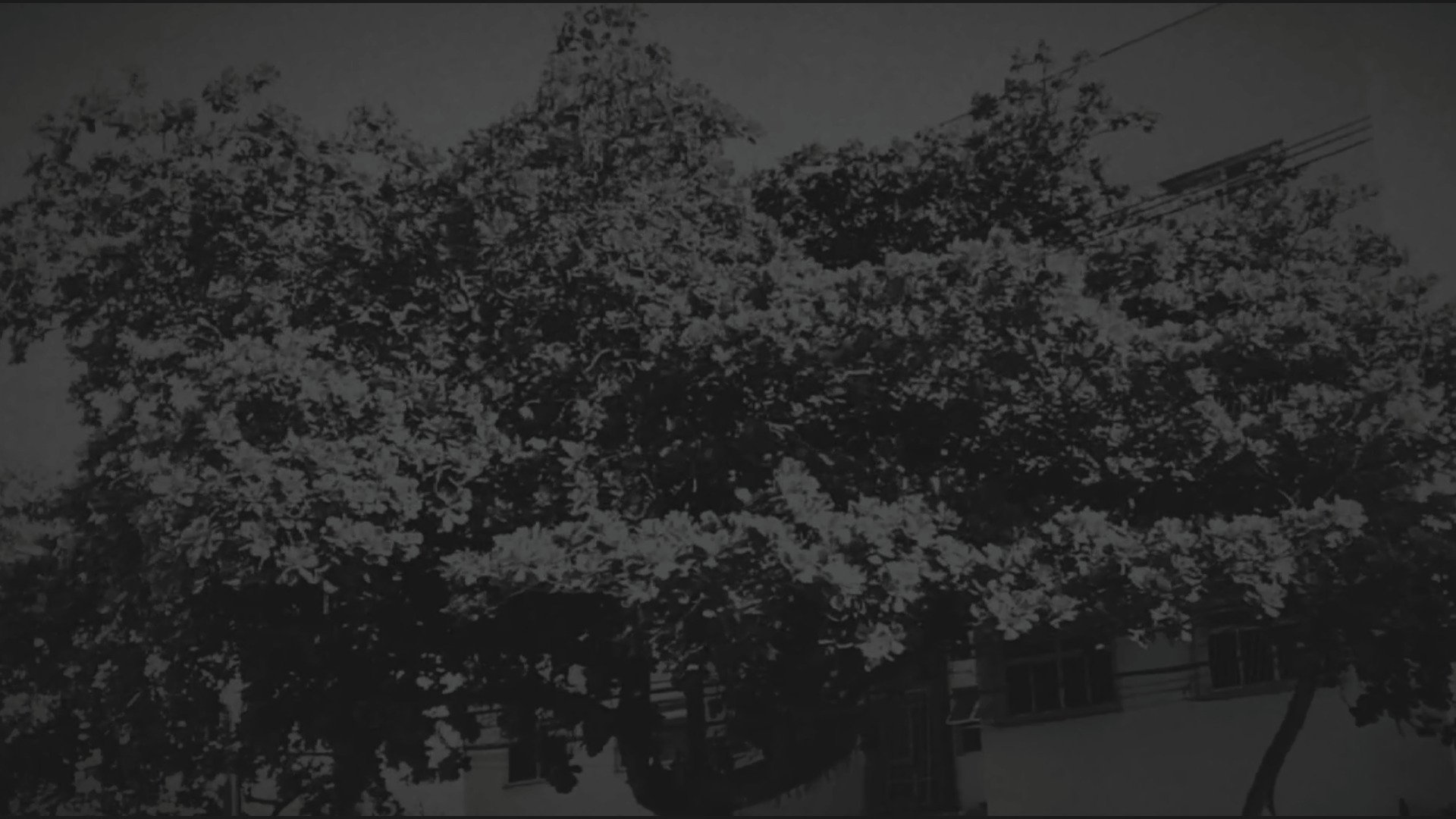Imagem do Filme Cidade Muda