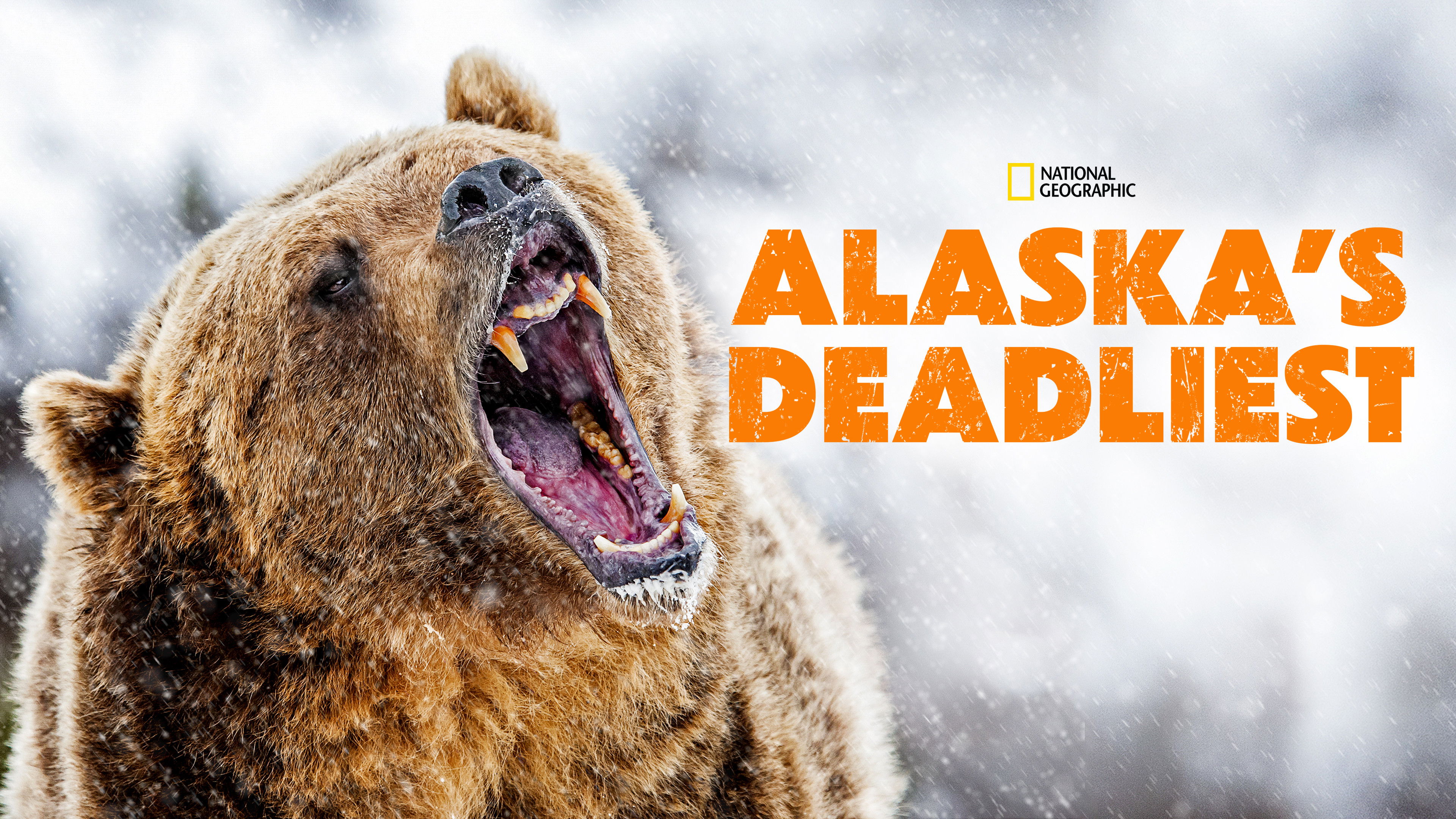 Alaska's Deadliest