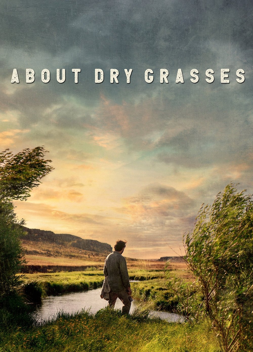 About Dry Grasses