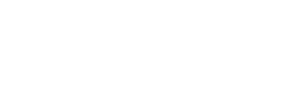 Troubled Waters: A Turtle's Tale Logo