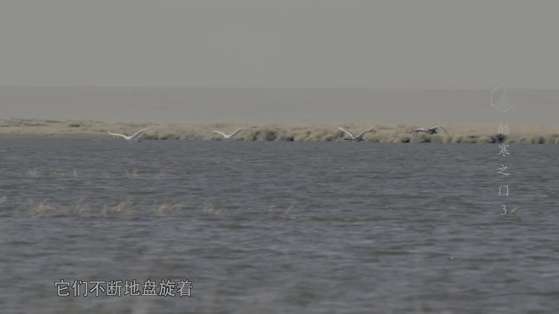 Episode 3