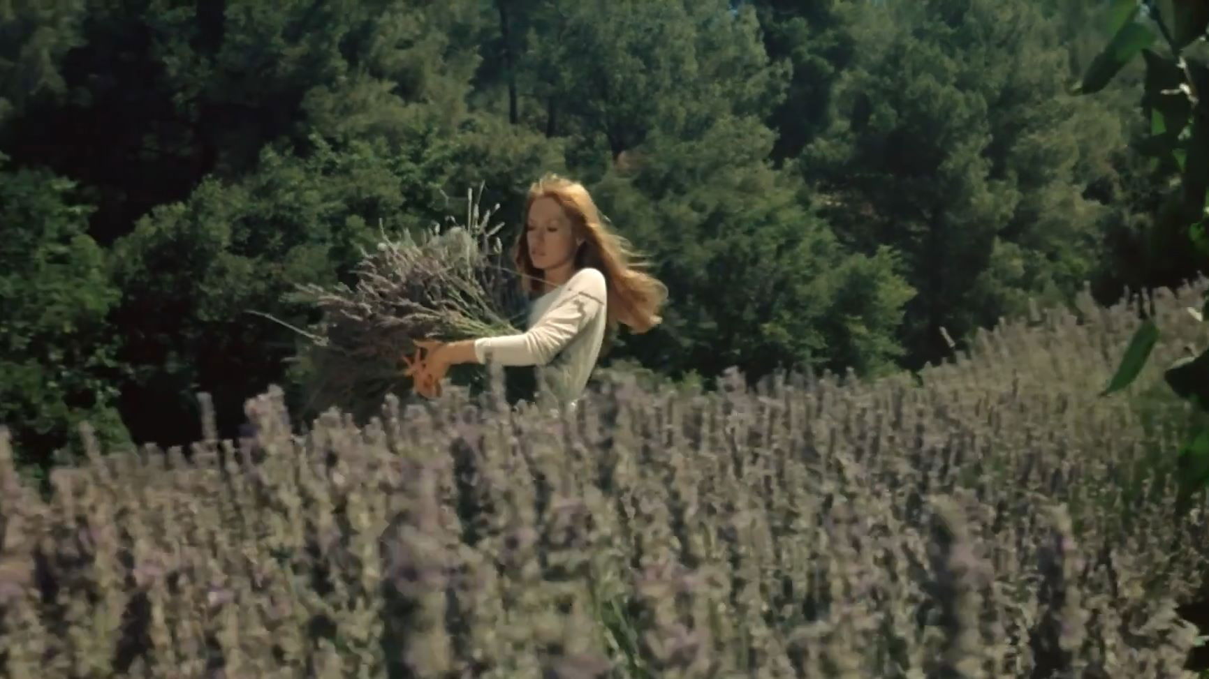 The Demise of Father Mouret