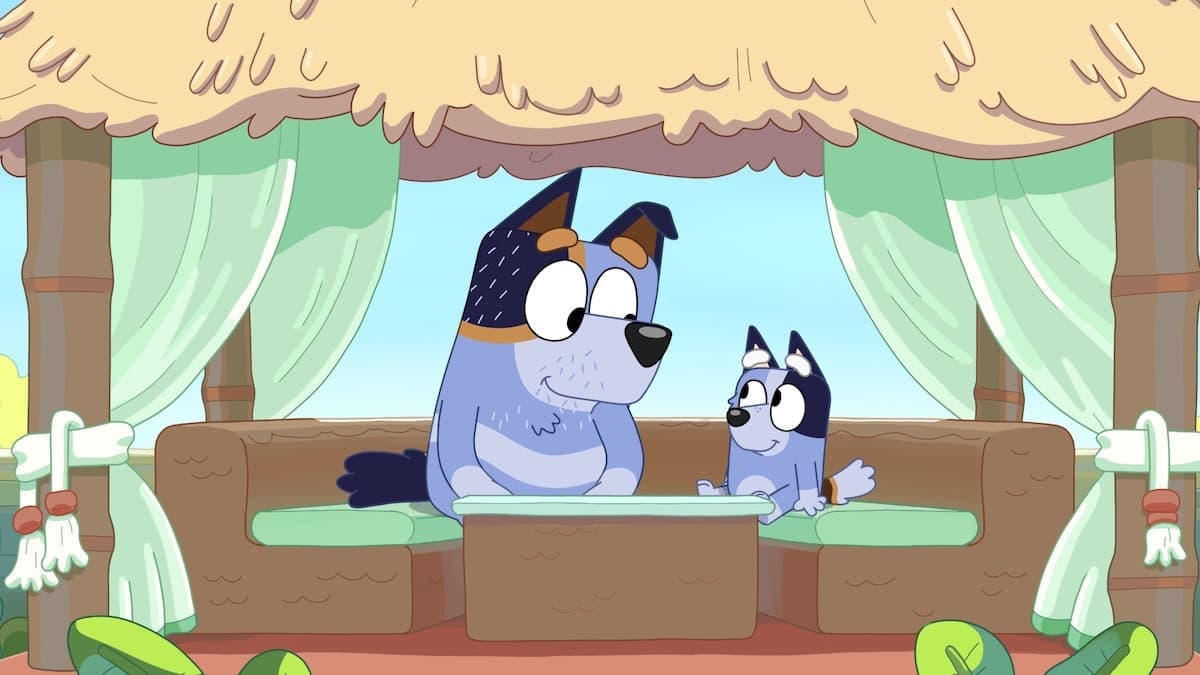 Bluey 0x16