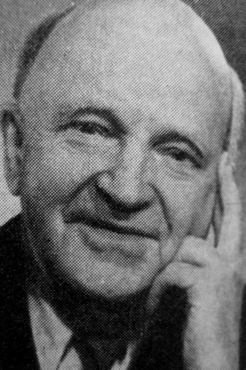 et billede af Vladimir Gremin