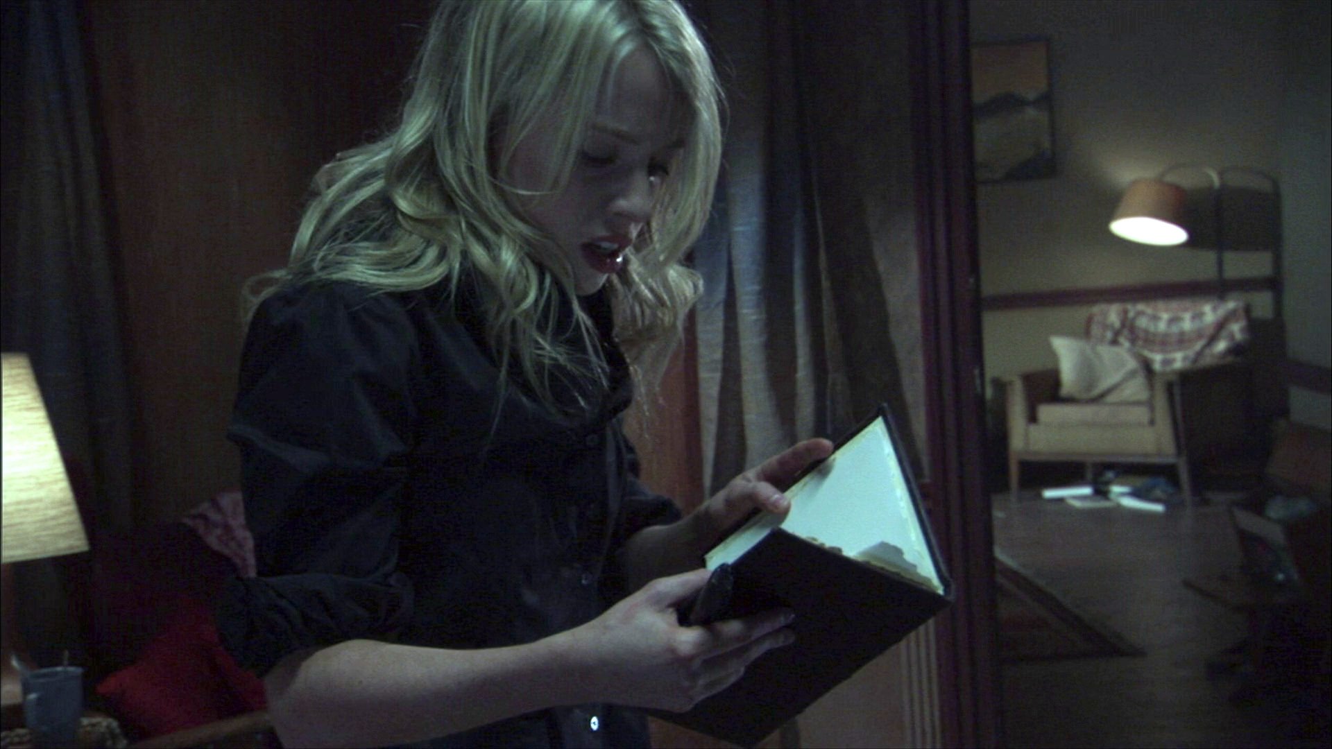 Devil's Diary (2007)