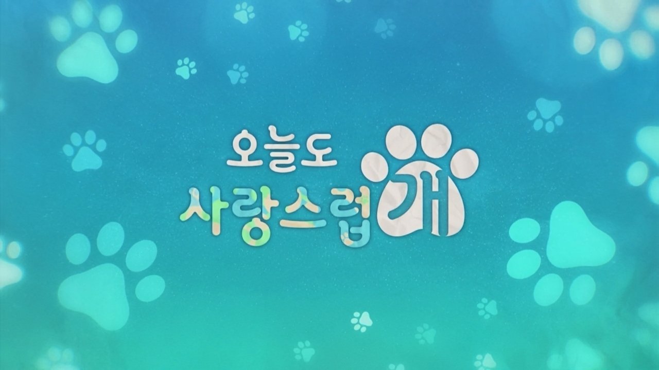 A Good Day to be a Dog - Season 1 Episode 5 : Overcoming Trauma