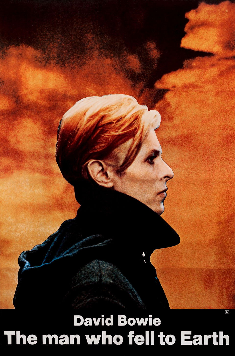 The Man Who Fell to Earth