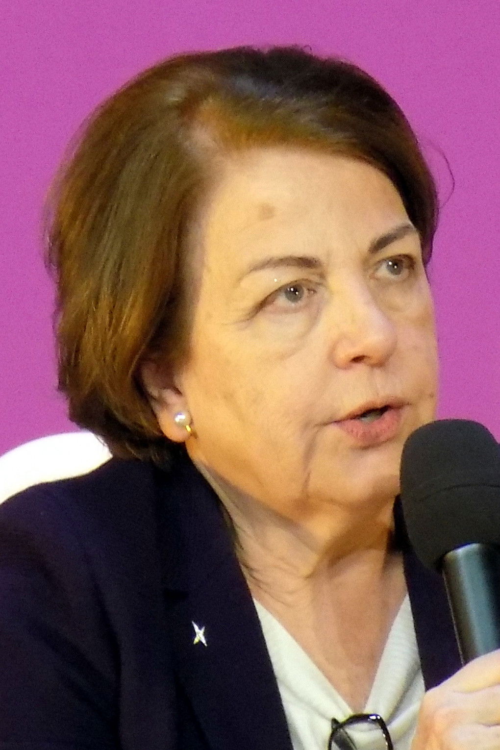 et billede af Anny-Chantal Levasseur-Regourd