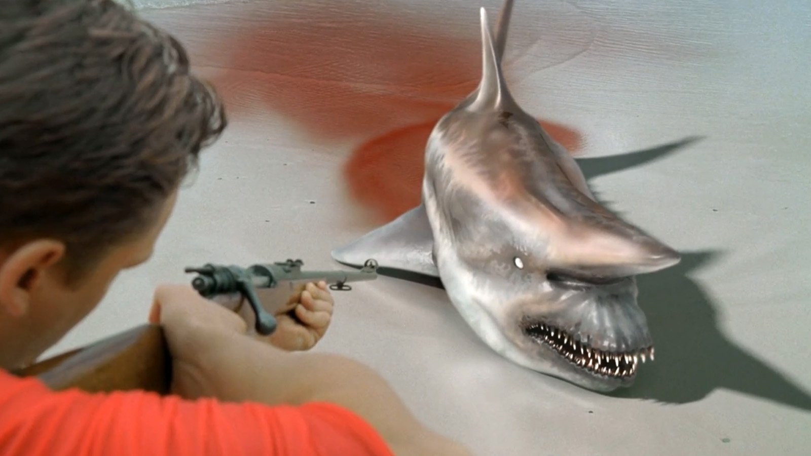 Malibu Shark Attack (2009)