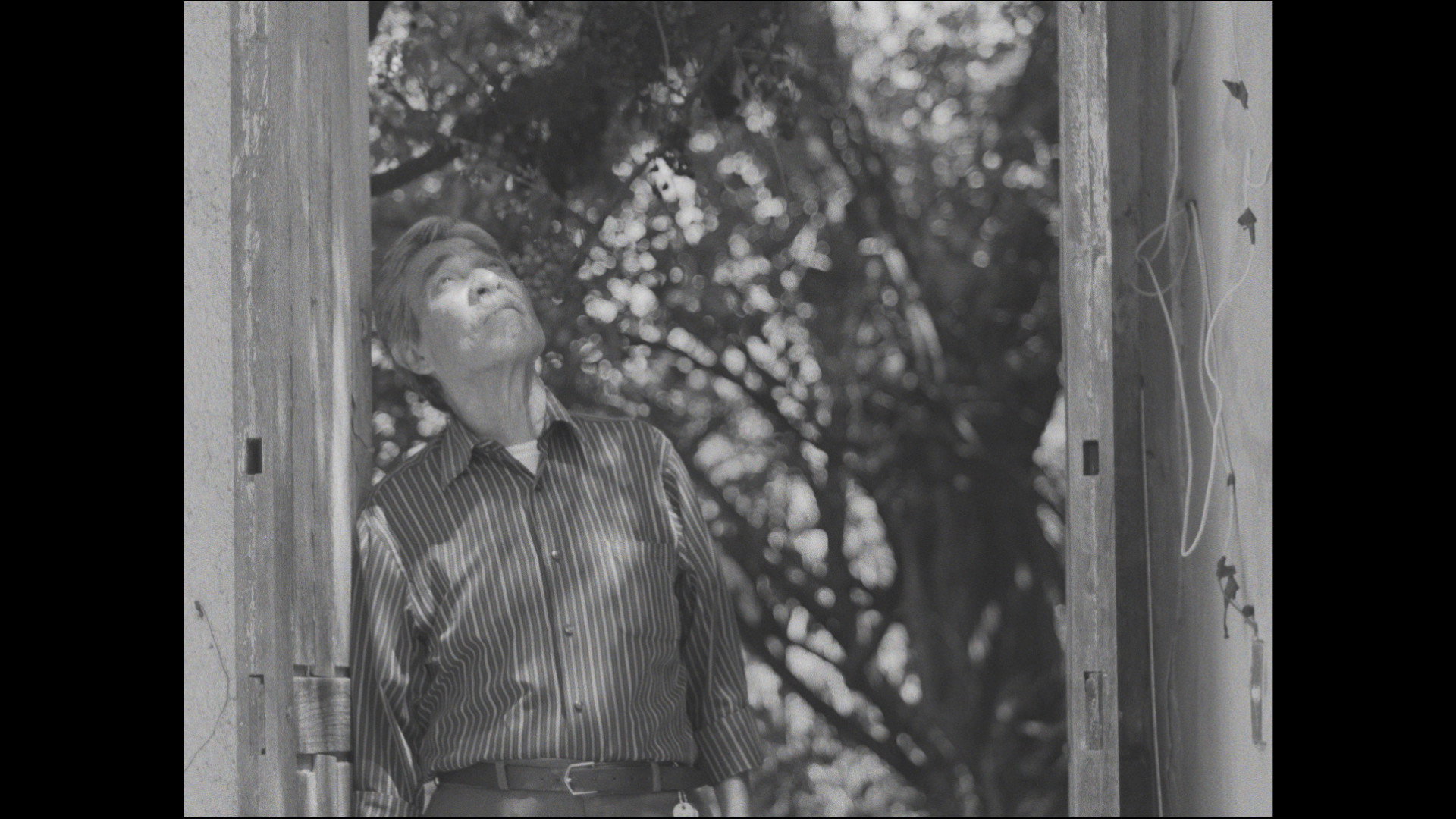 The time for the past