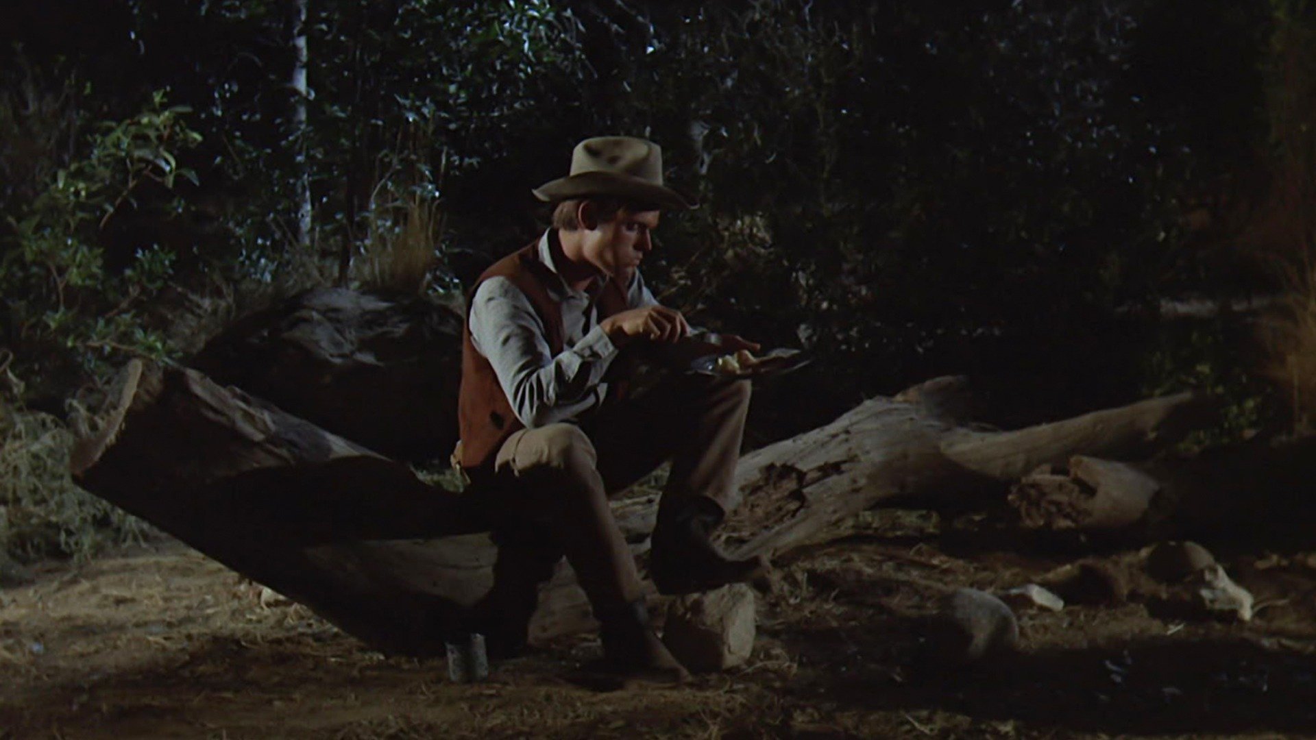 The Virginian
