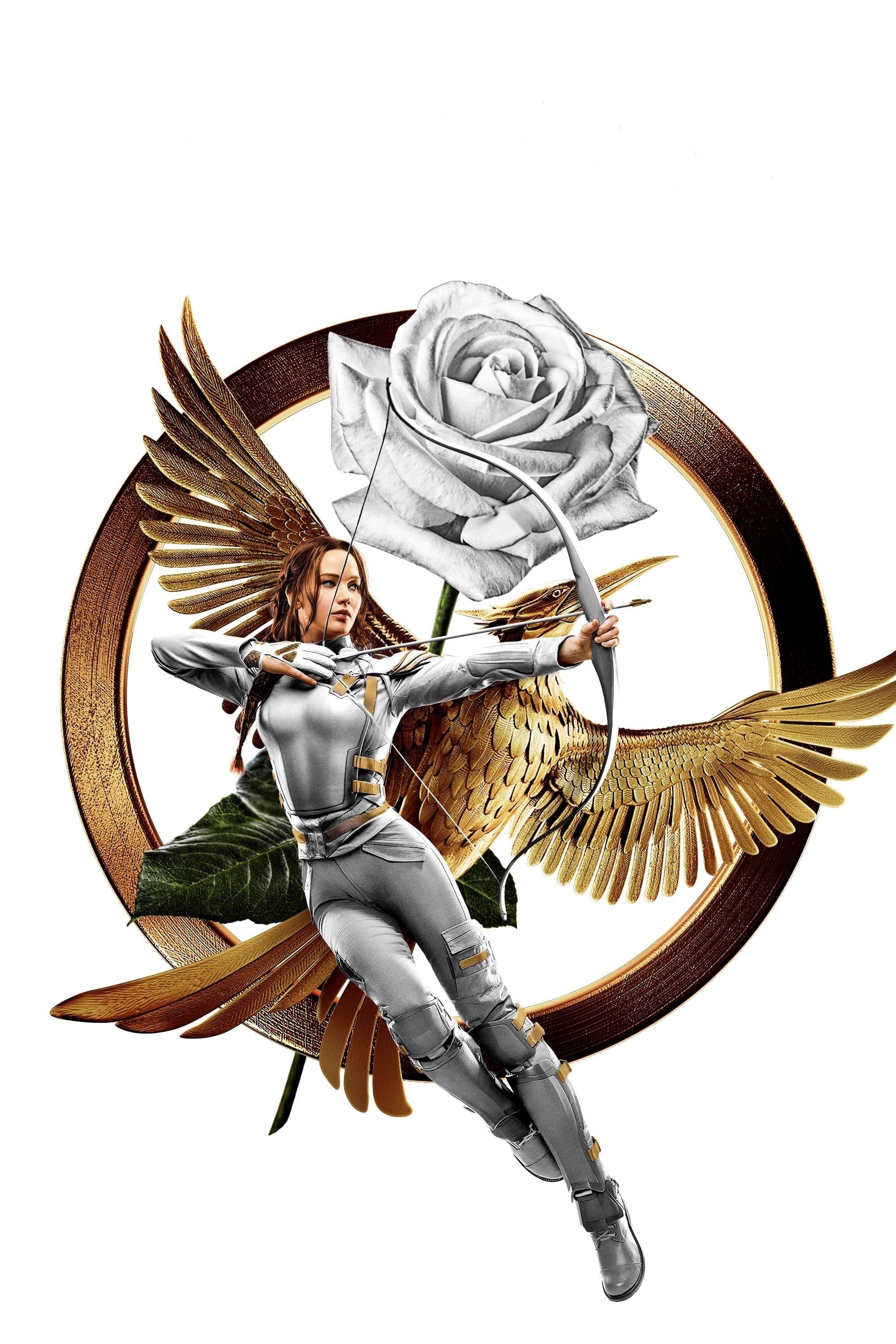 TMDB Image