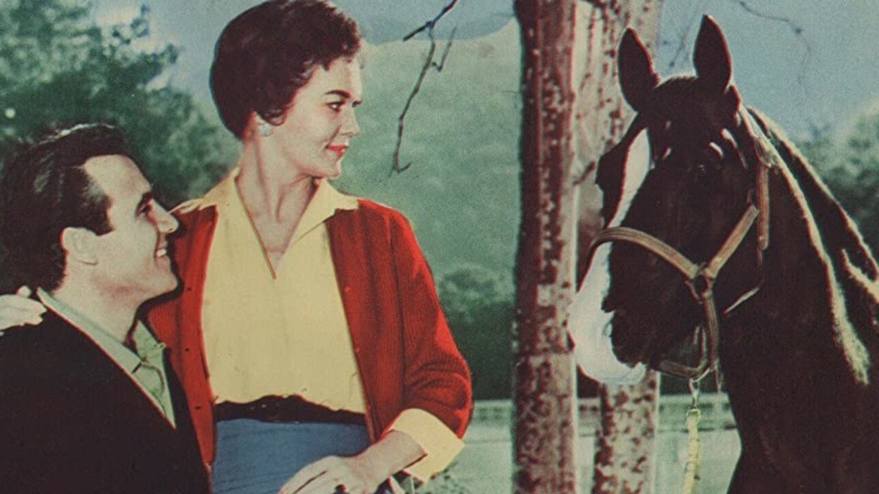 The Sad Horse (1959)