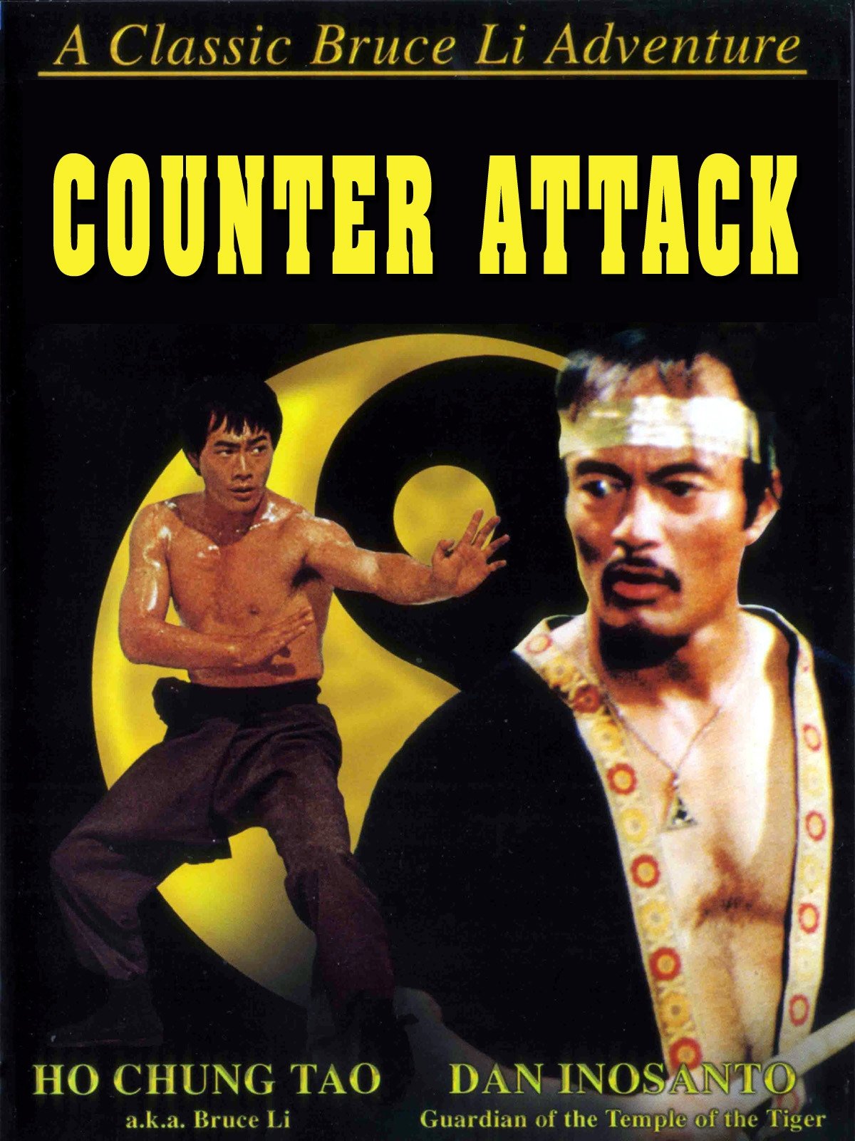The Chinese Stuntman