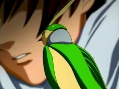 Mobile Suit Gundam SEED