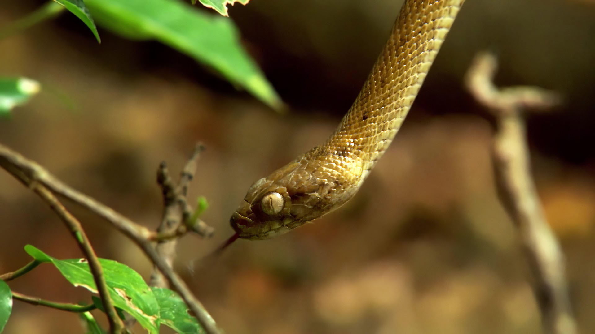 Earth Odyssey with Dylan Dreyer S04E34 backdrop