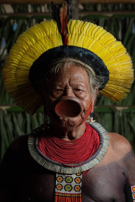 et billede af Raoni Metuktire