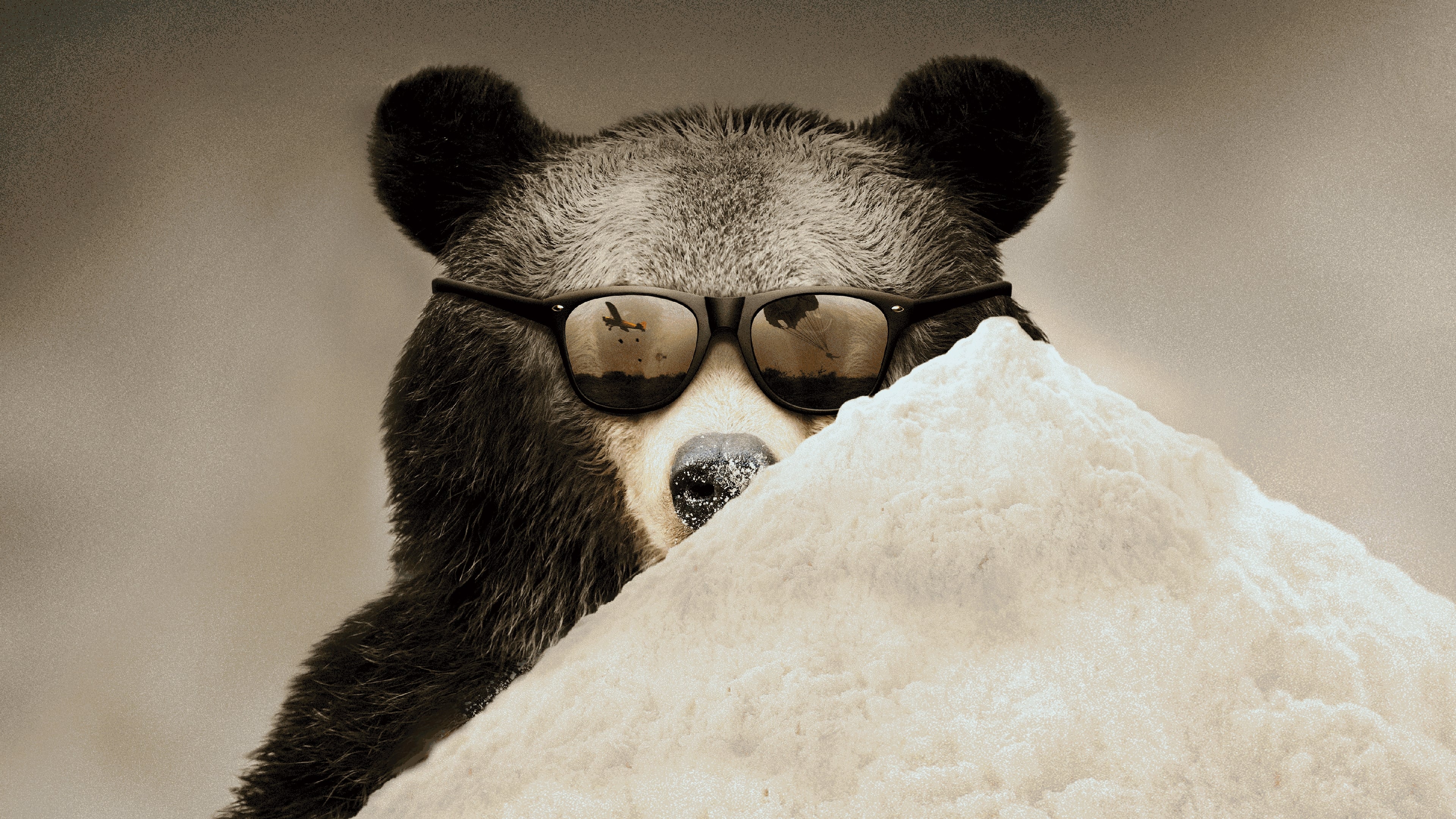 Cocaine Bear: The True Story (2023)