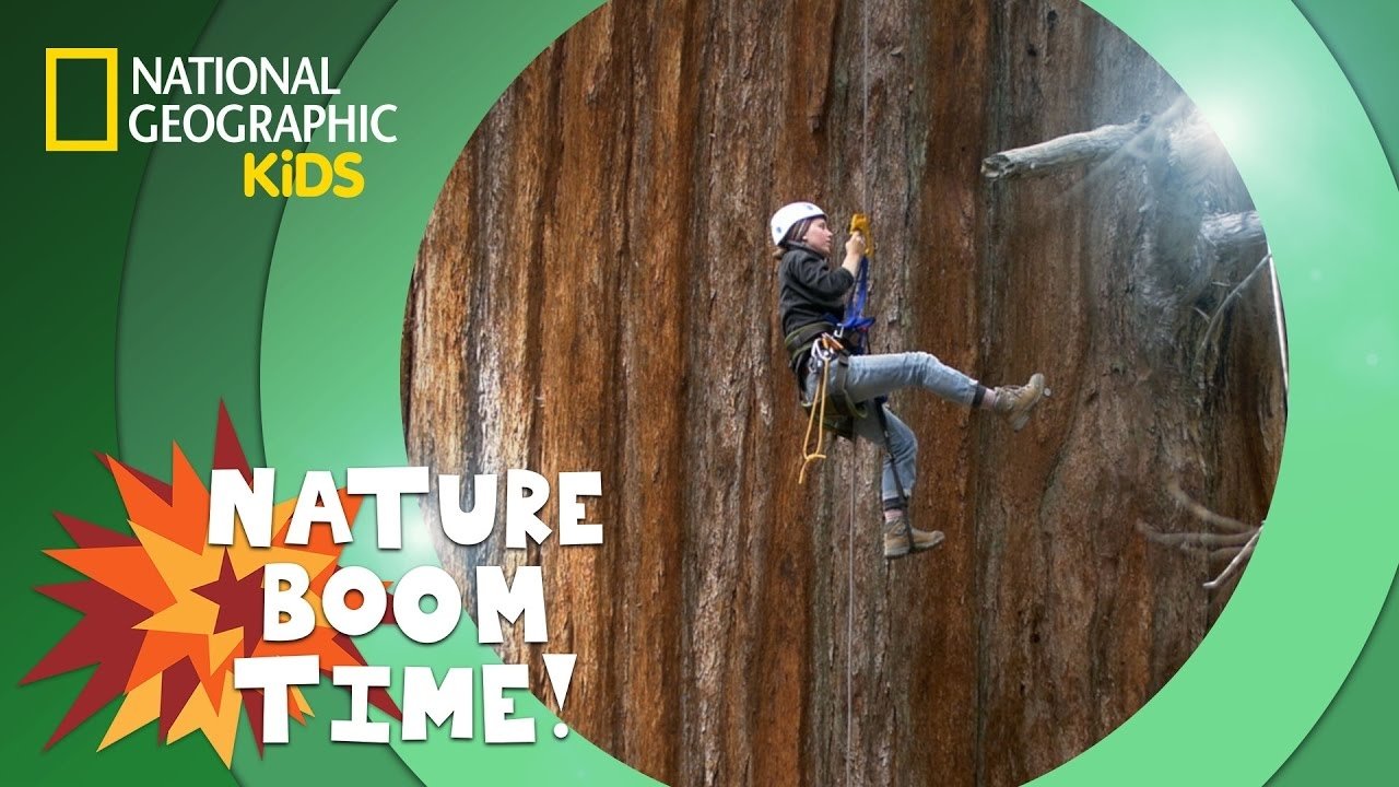Thumbnail for Sequoia National Park Season 1 Episode 2