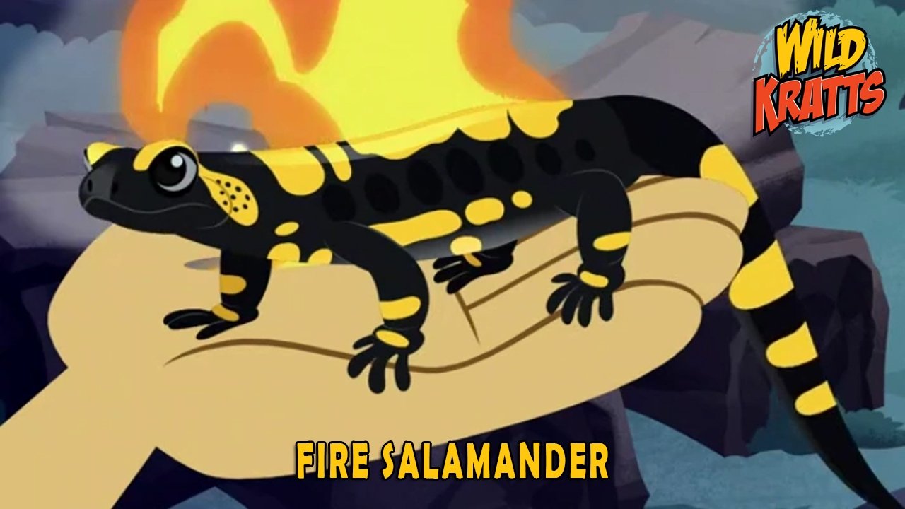 Episode 5