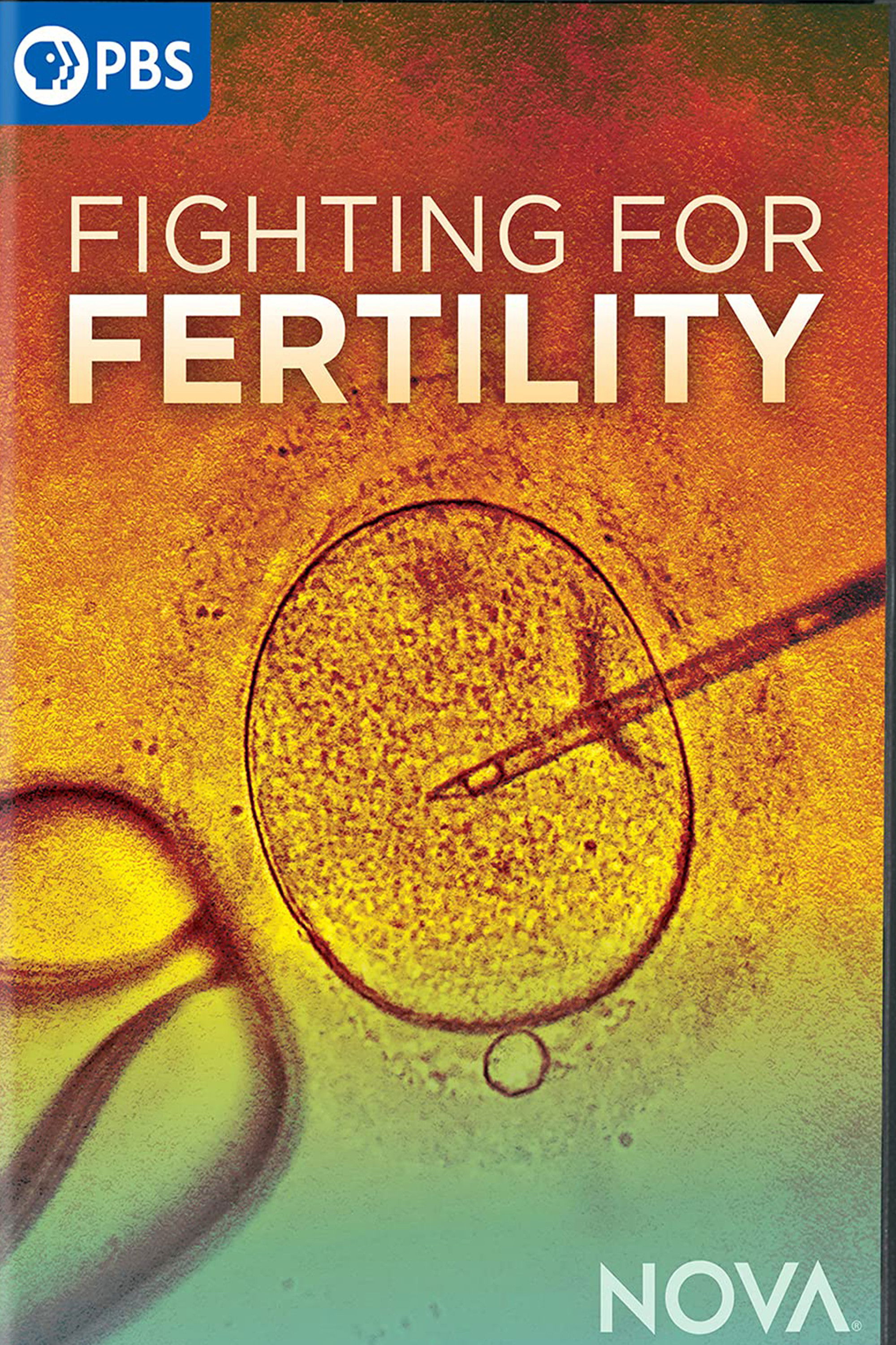 Fighting For Fertility