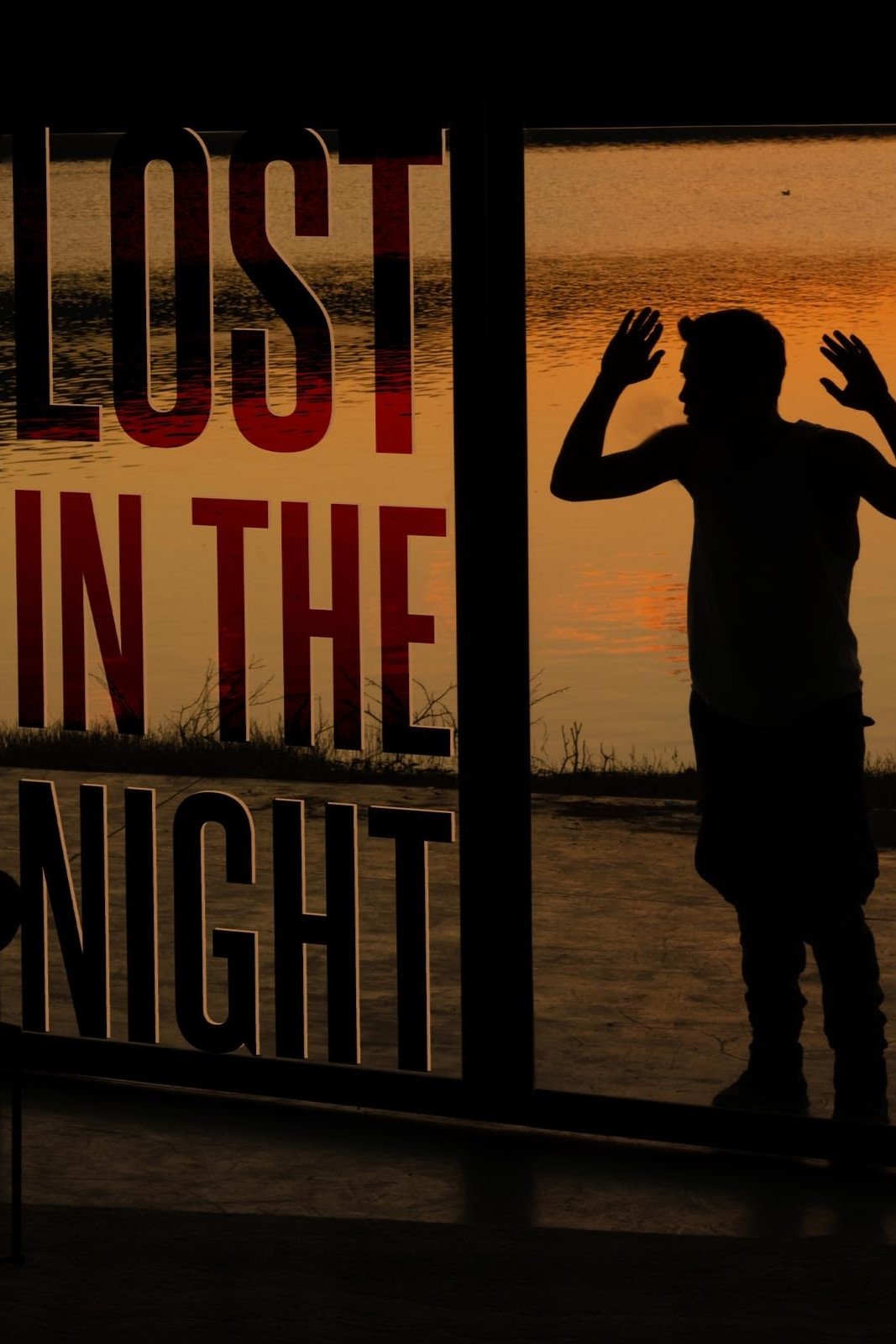 Lost in the Night