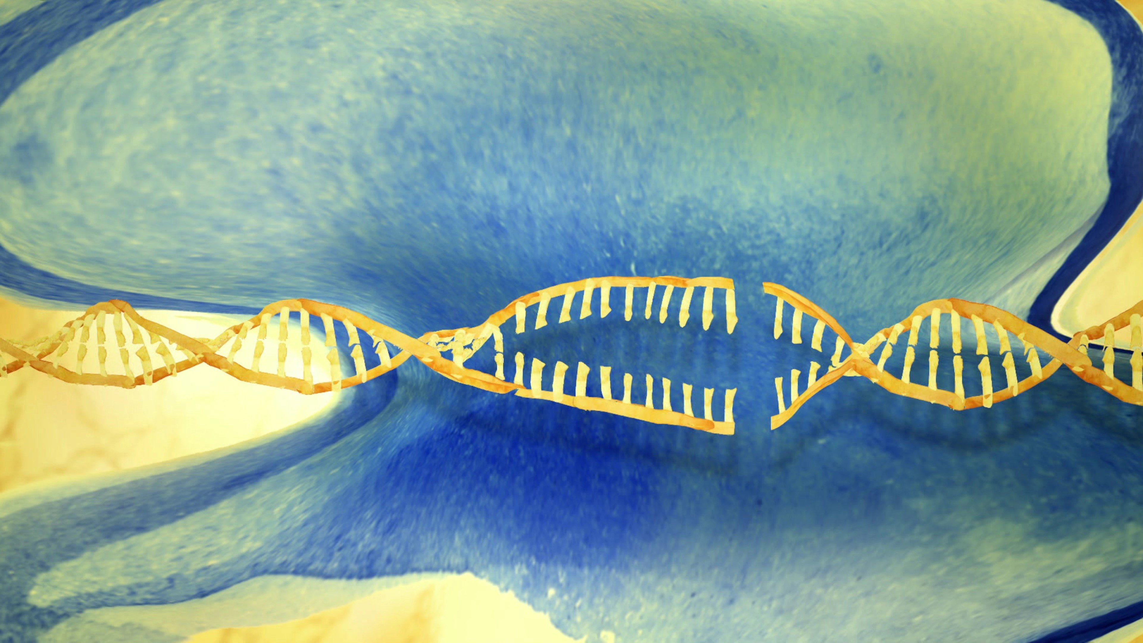 Découverte - Crispr: la révolution génétique