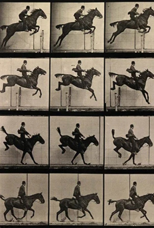 Affiche du film Eadweard Muybridge, Zoopraxographer 17670