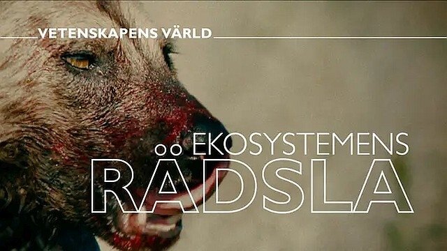 Vetenskapens värld