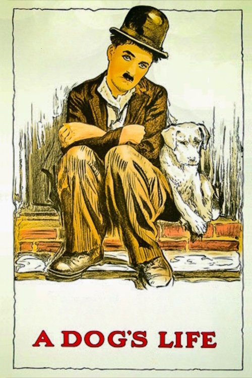A Dog's Life