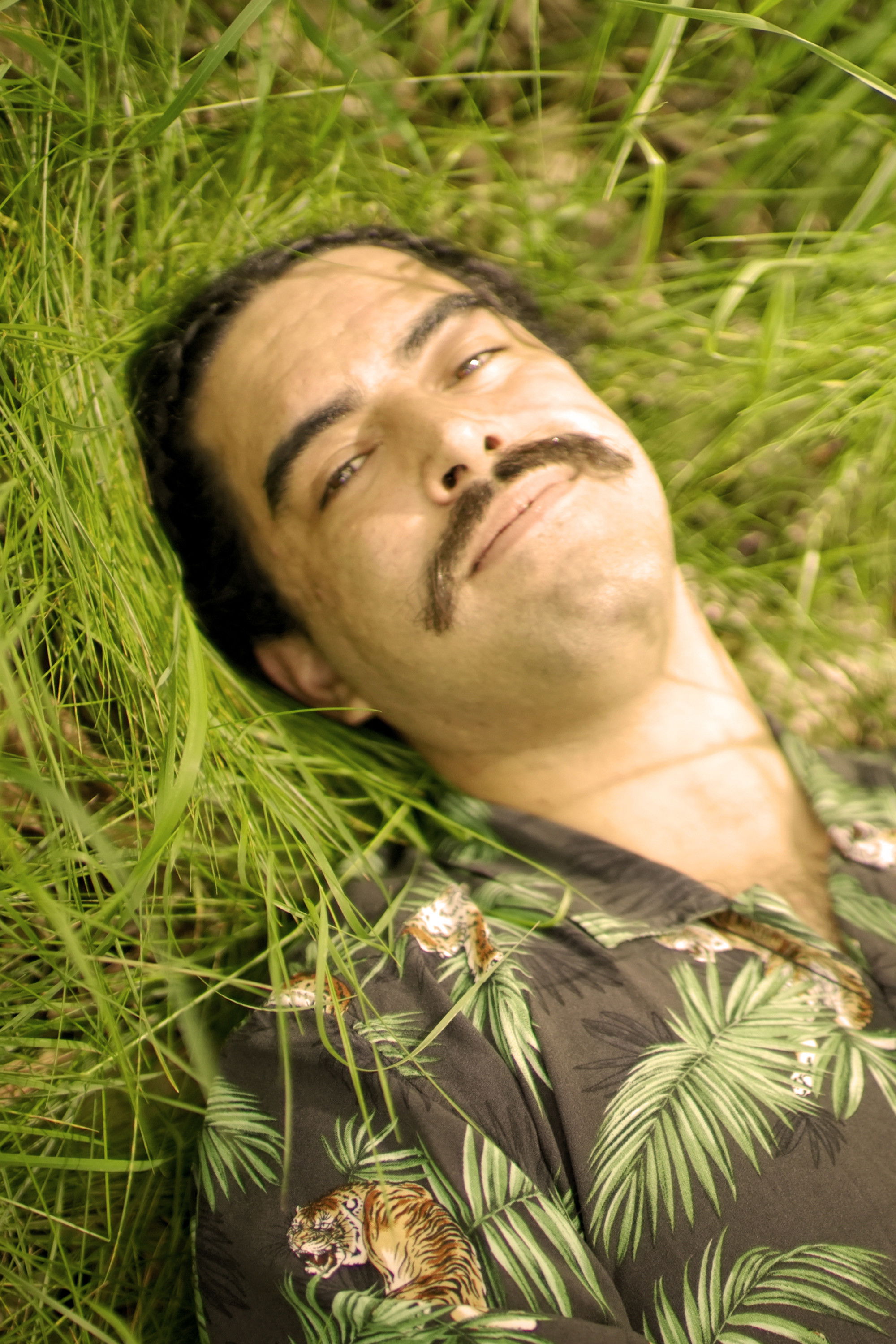 et billede af Robert Kingsley