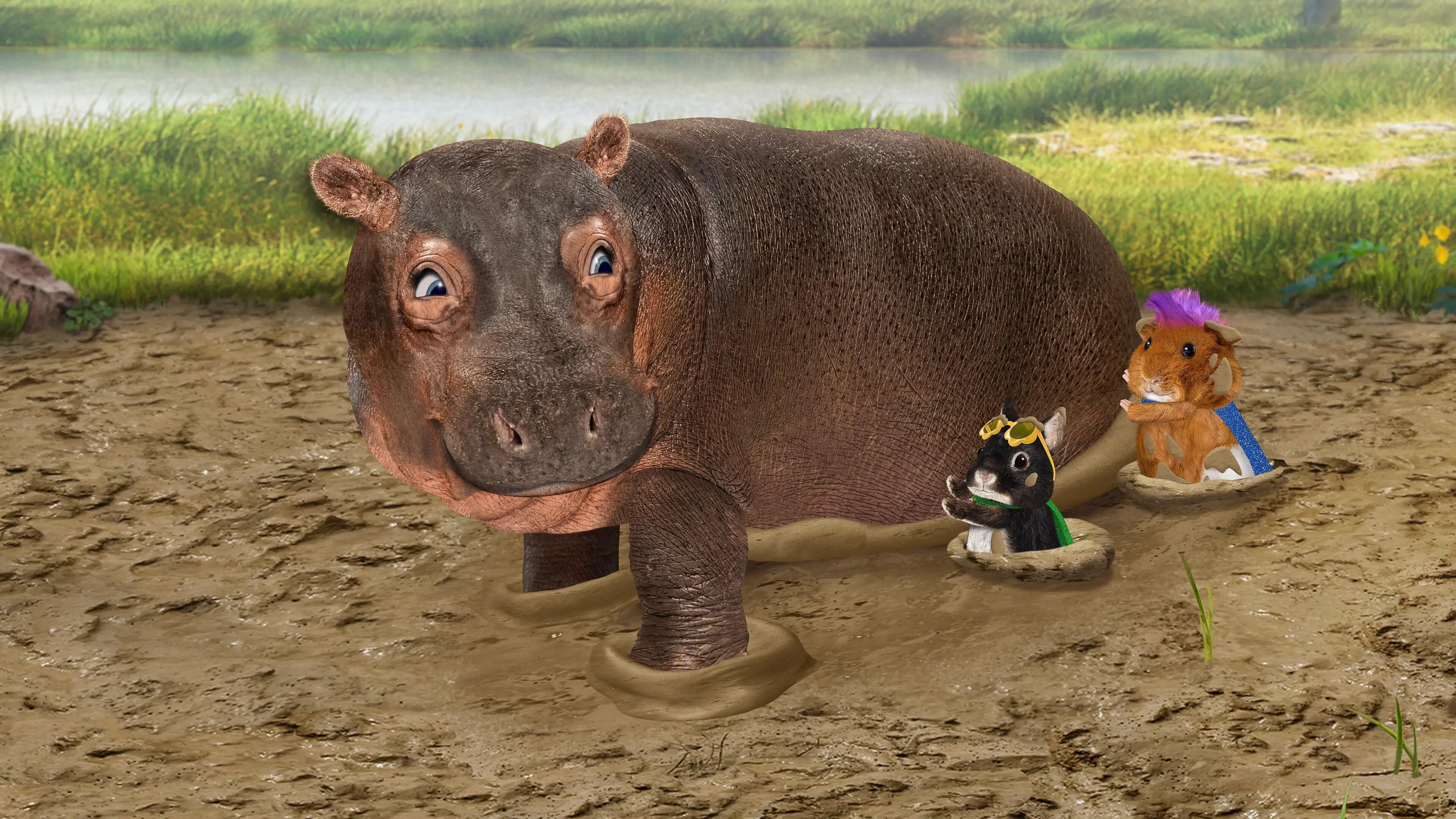 Thumbnail for Save the Hedgehog! / Save the Hippo! Season 1 Episode 4