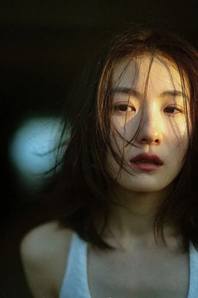 et billede af Wang Yi