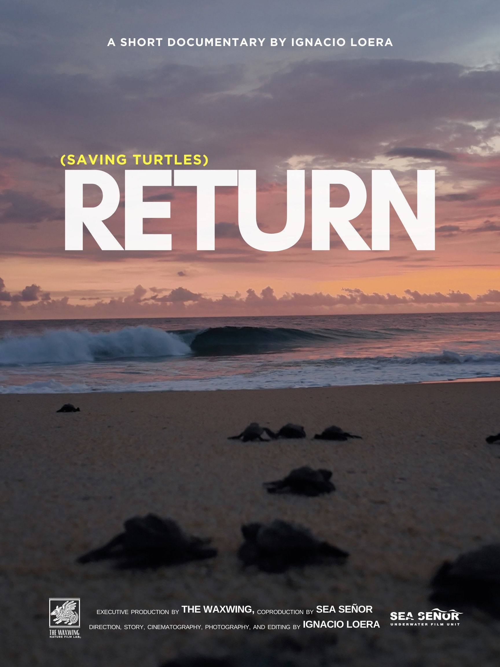 Return: Saving Turtles
