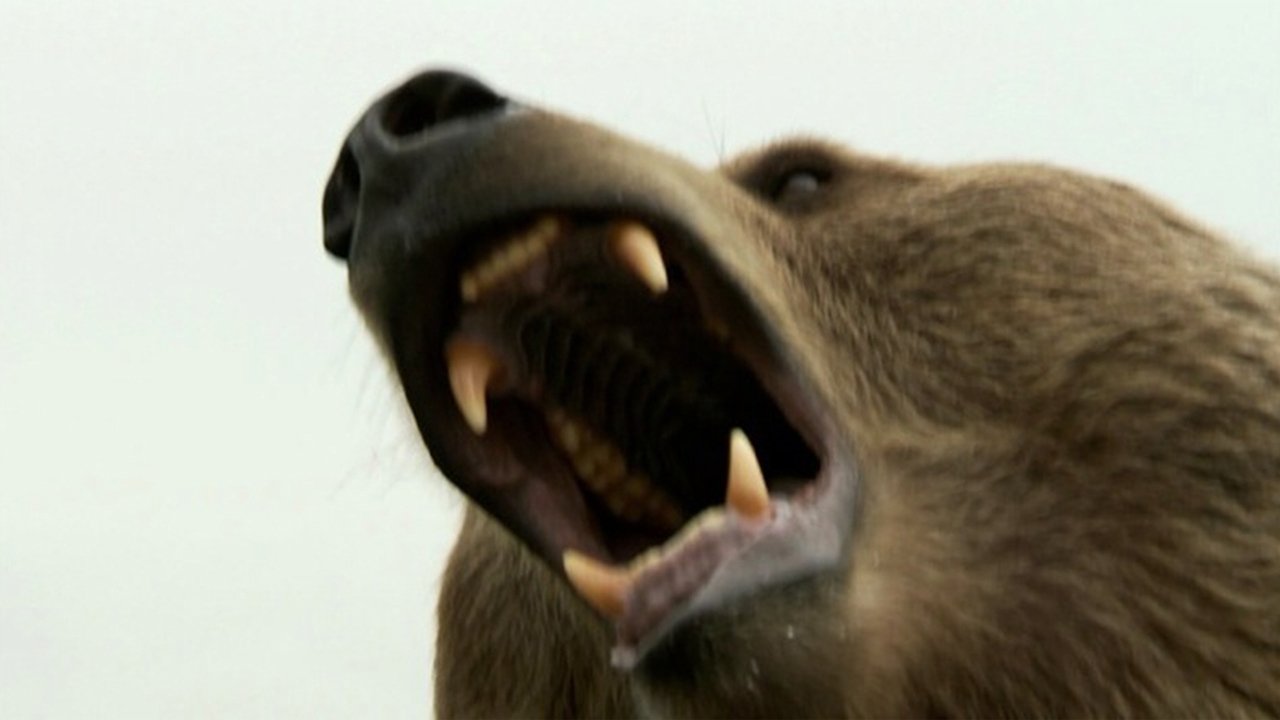 Thumbnail for Grizzly Woods Season 1 Episode 1