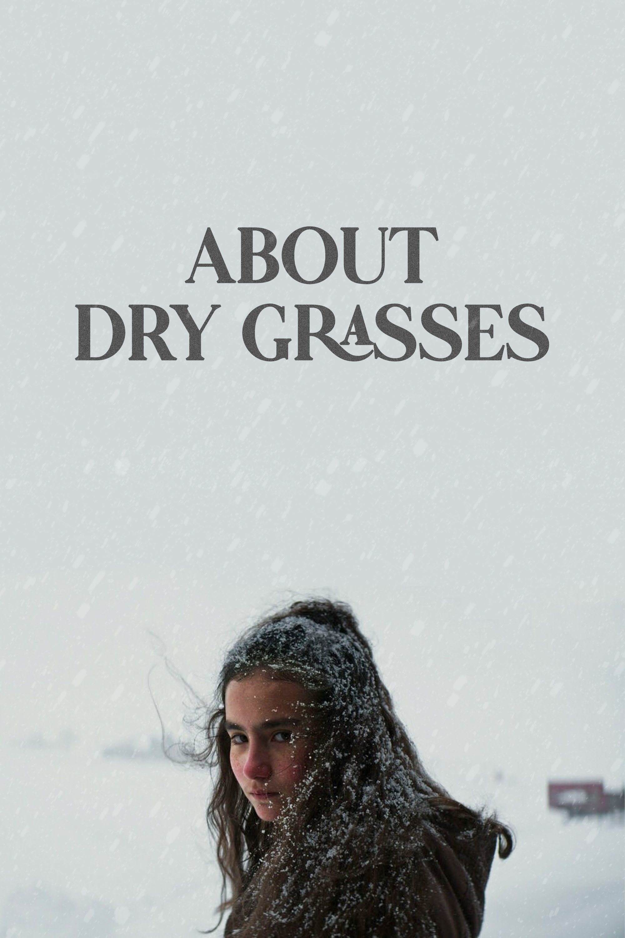 About Dry Grasses Movie poster