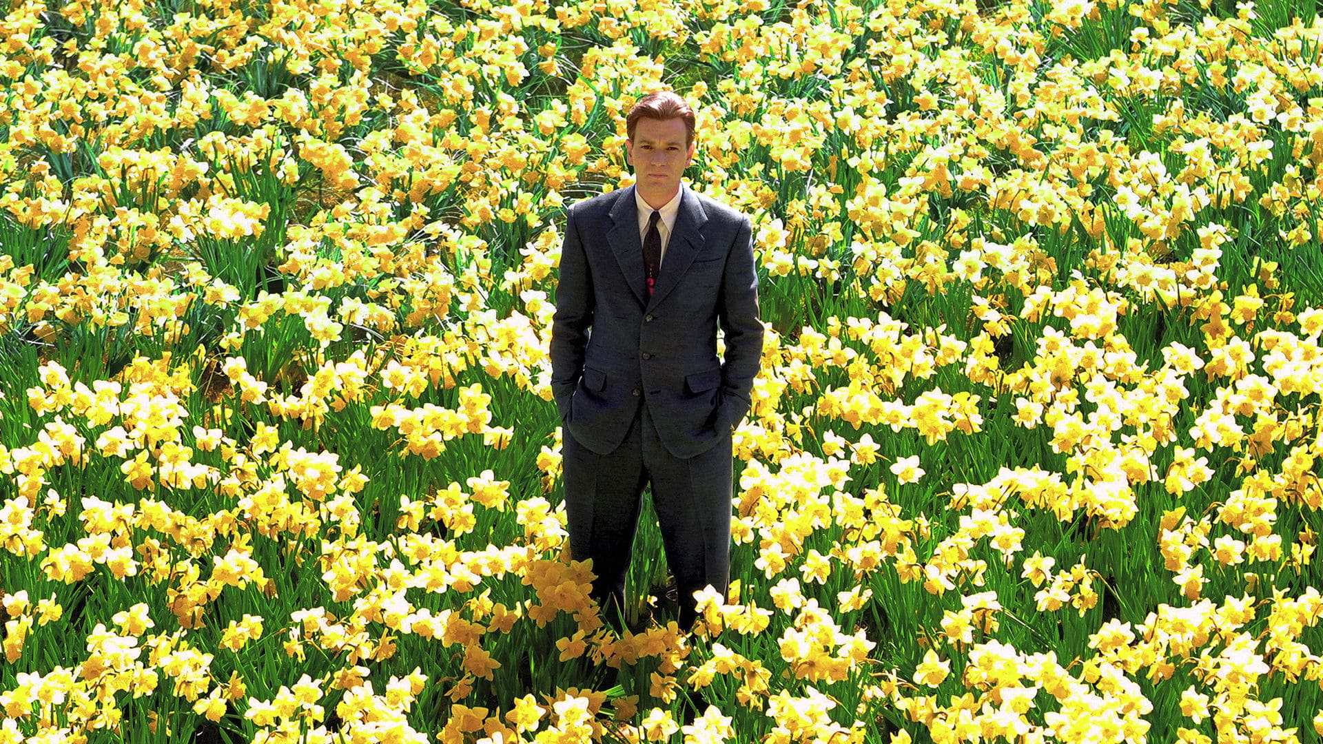 Image du film Big Fish jsre2qtuts5euzdccznzj3kp5m4jpg