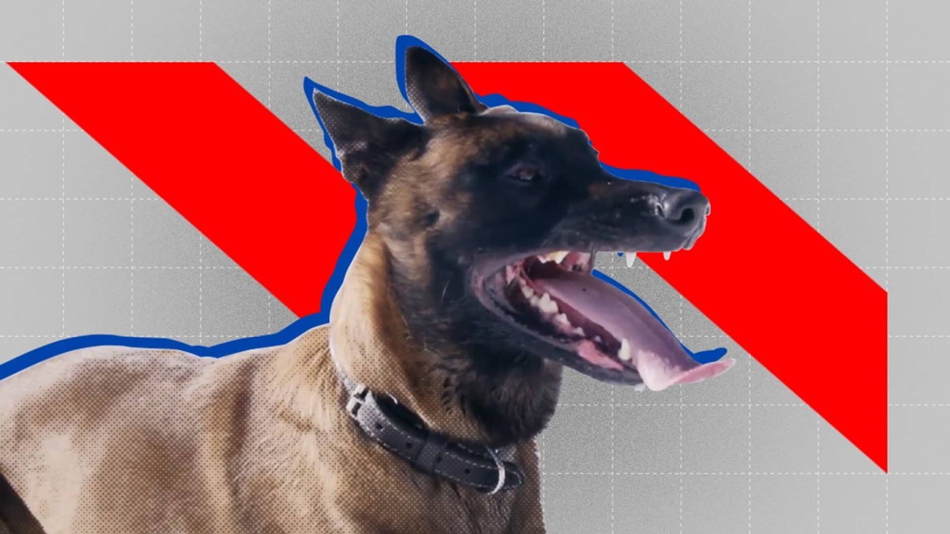 Episode 4