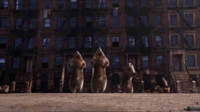 Les Marmottes - West Side Story