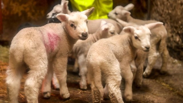 Countryfile 35x1