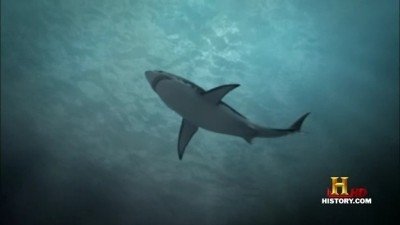 Thumbnail for Deep Sea Killers Season 1 Episode 7