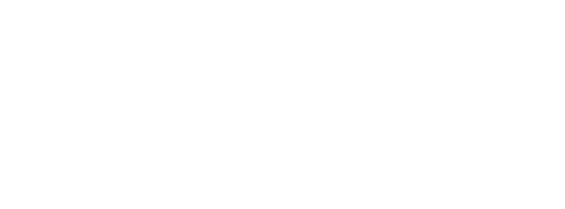 Big Fan Logo