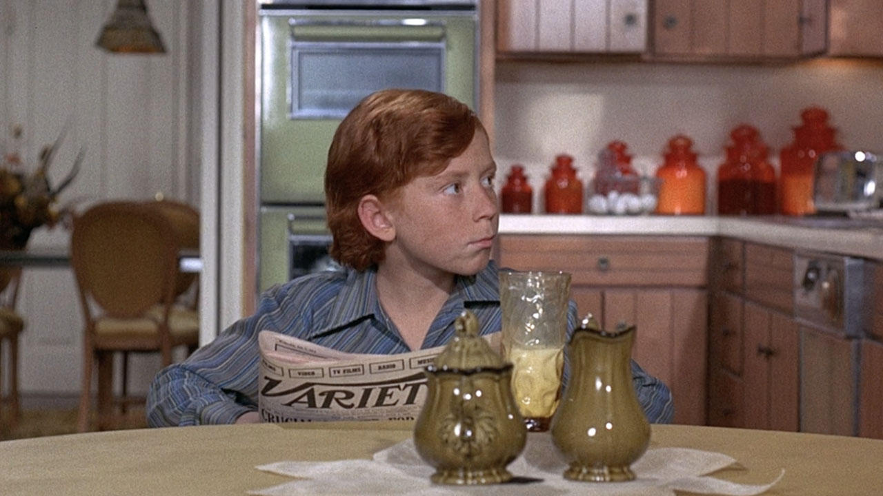 The Partridge Family