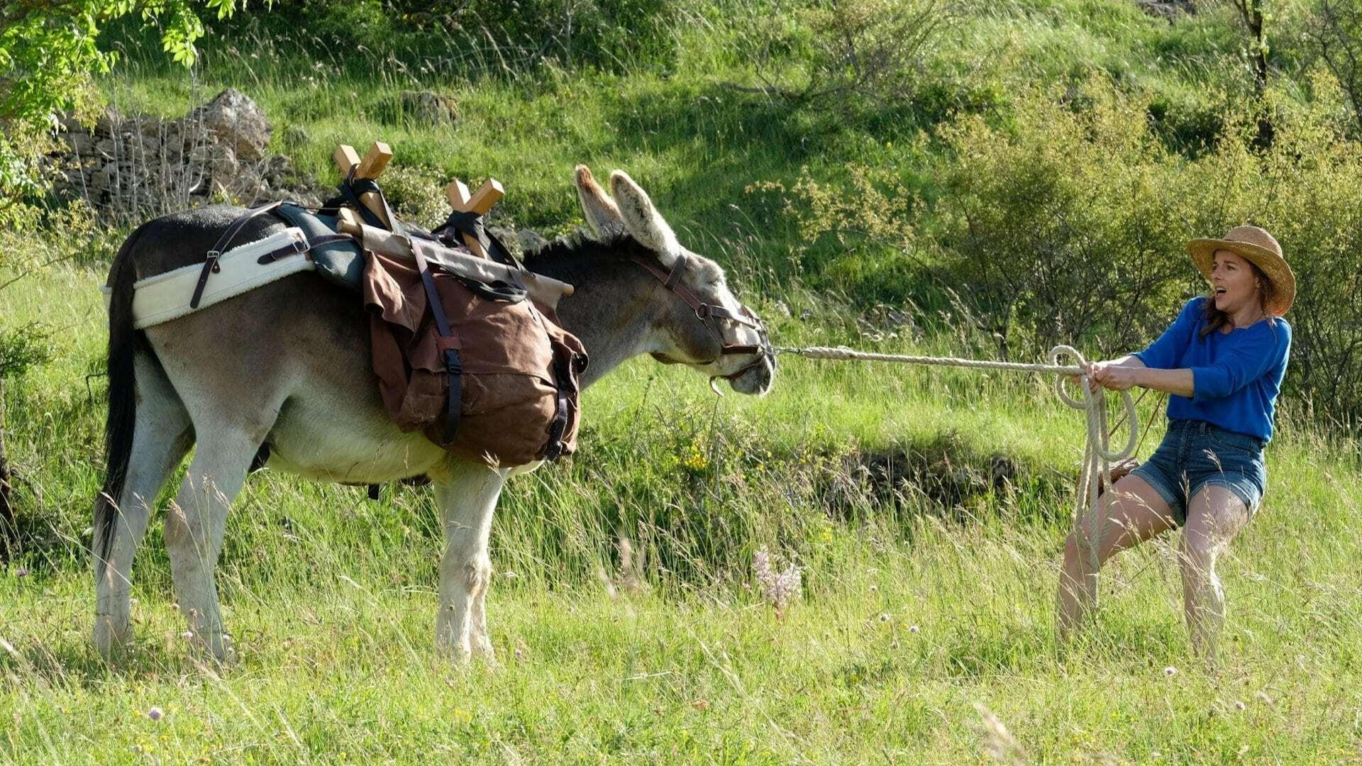 Eu cu măgarul și cu iubitul meu (2020)