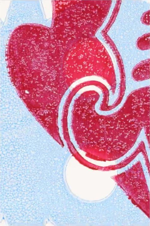 Two Weeks - Two Minutes Poster