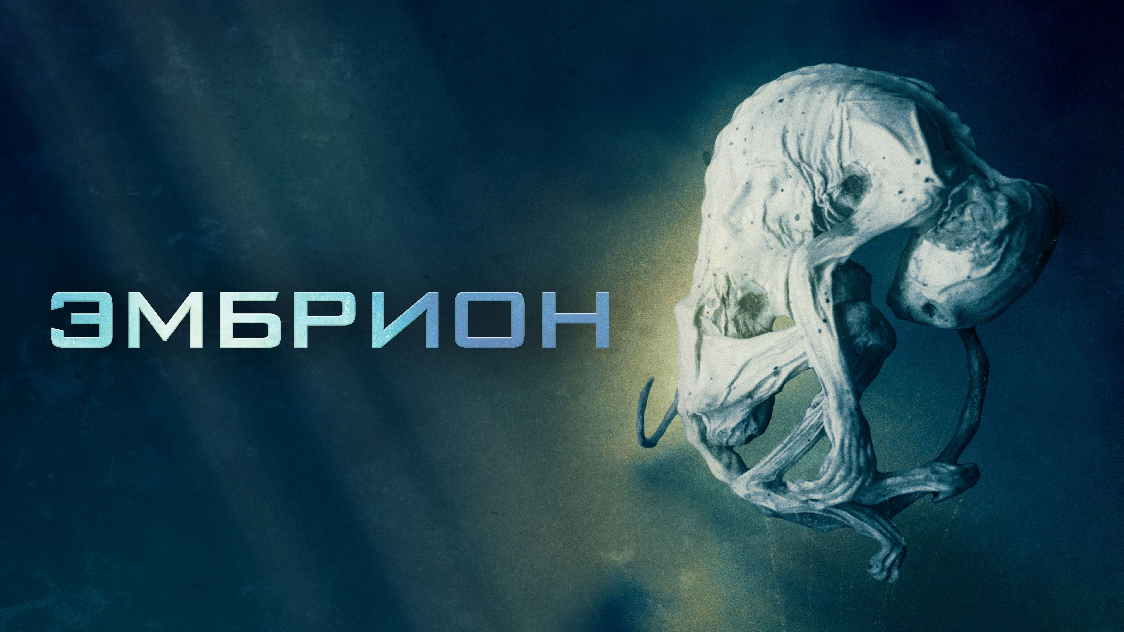 Embryo (2020)