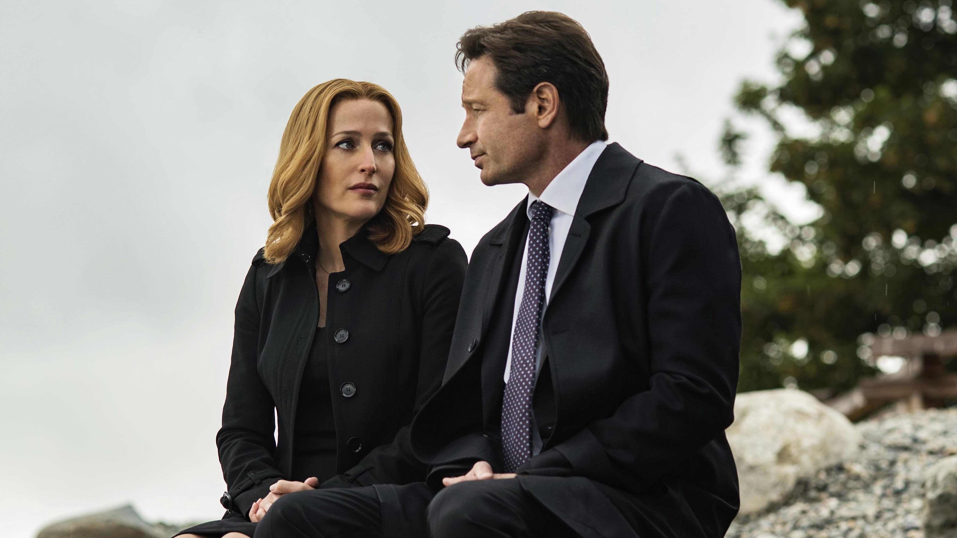 The X-Files - 1? Temporada